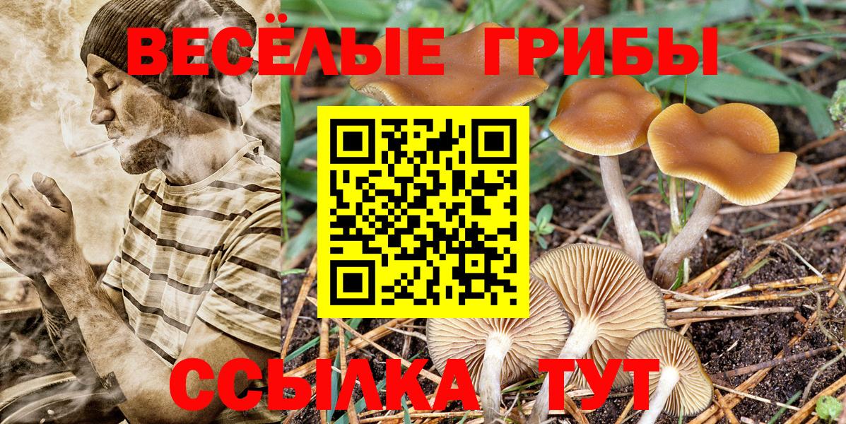 наркошоп  Вход с VPN  Лабытнанги  Псилоцибиновые грибы Magic Shrooms 
